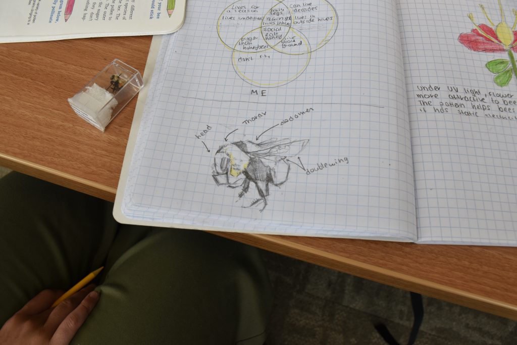 A student's scientific notebook and sketches