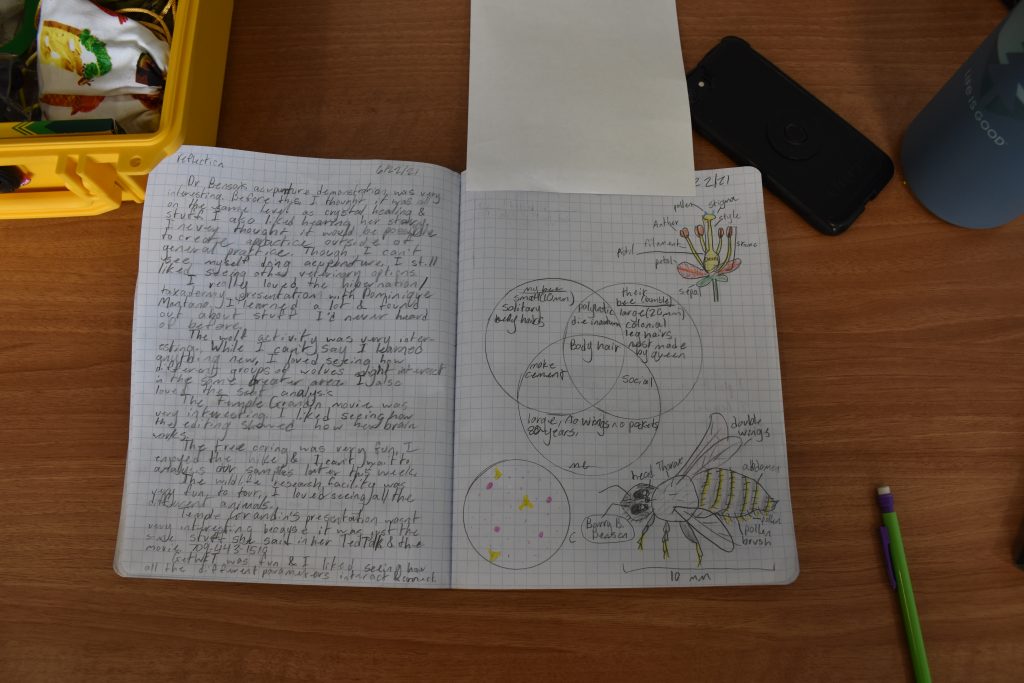 A student's scientific notebook and sketches