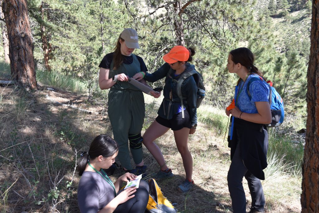 Students work on tree research at Lory State Park