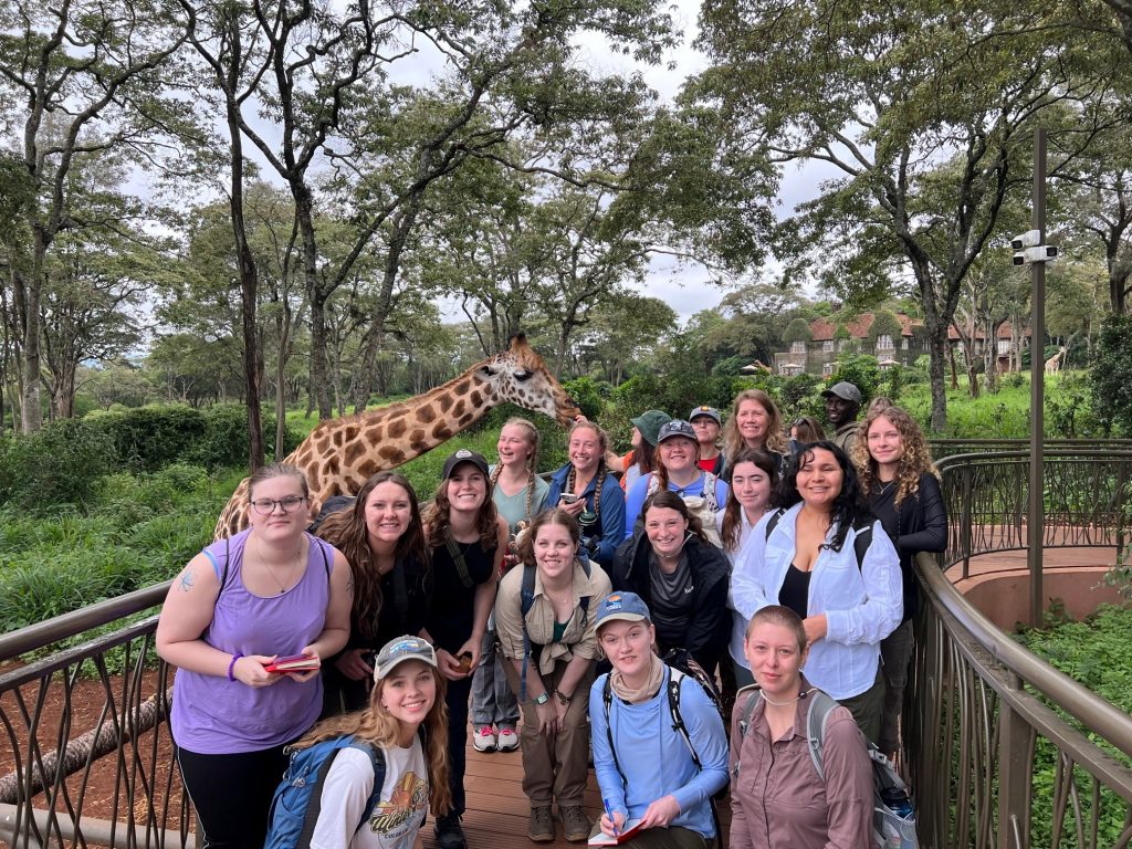 A group of C S U students posing on study abroad in Kenya at a giraffe sanctuary. A giraffe stands behind them, licking one of the students outstretched hands.