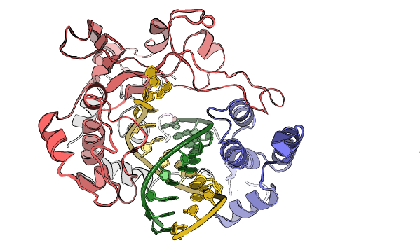 An illustration of a string of proteins.