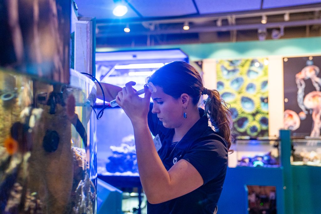 A woman looks into a fish tank while holding a piece of equipment that looks like a syringe with a tube attached.