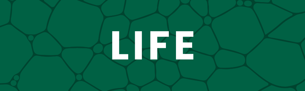 Life