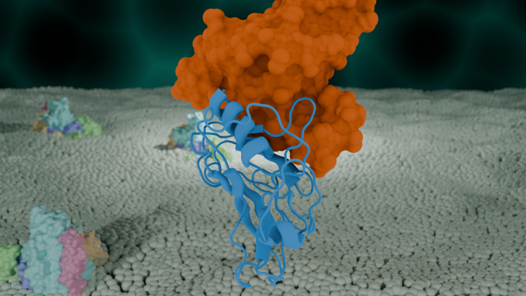 Rapid protein catch-bonds research offers pathways into cancer treatment and tackling plastic pollution