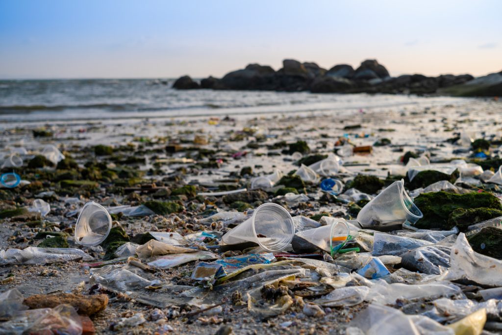Debris, plastic cups and plastic bags litter a shoreline.