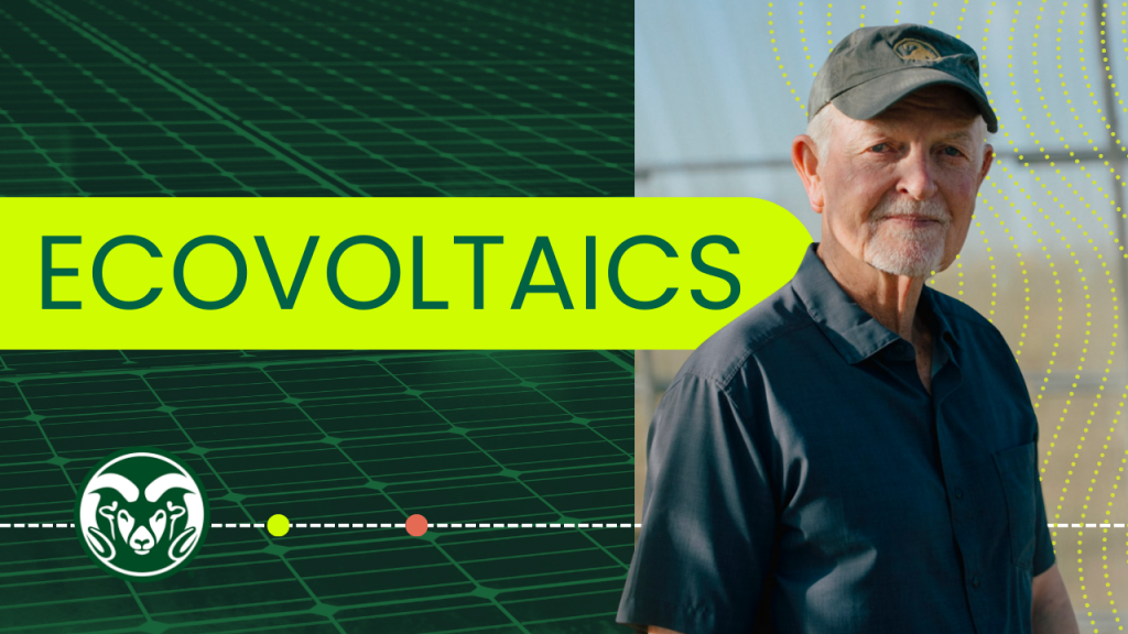 A graphic featuring University Distinguished Professor Alan Knapp with a solar panel pattern in the background. It reads, "Ecovoltaics."